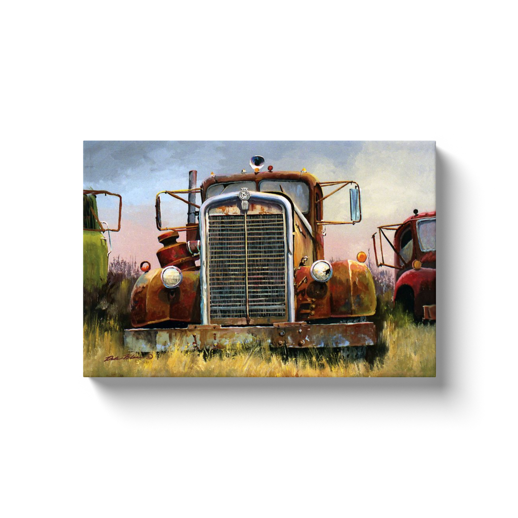 generated-proPreview-0